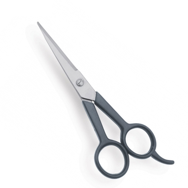 Barber and Dressing Scissors